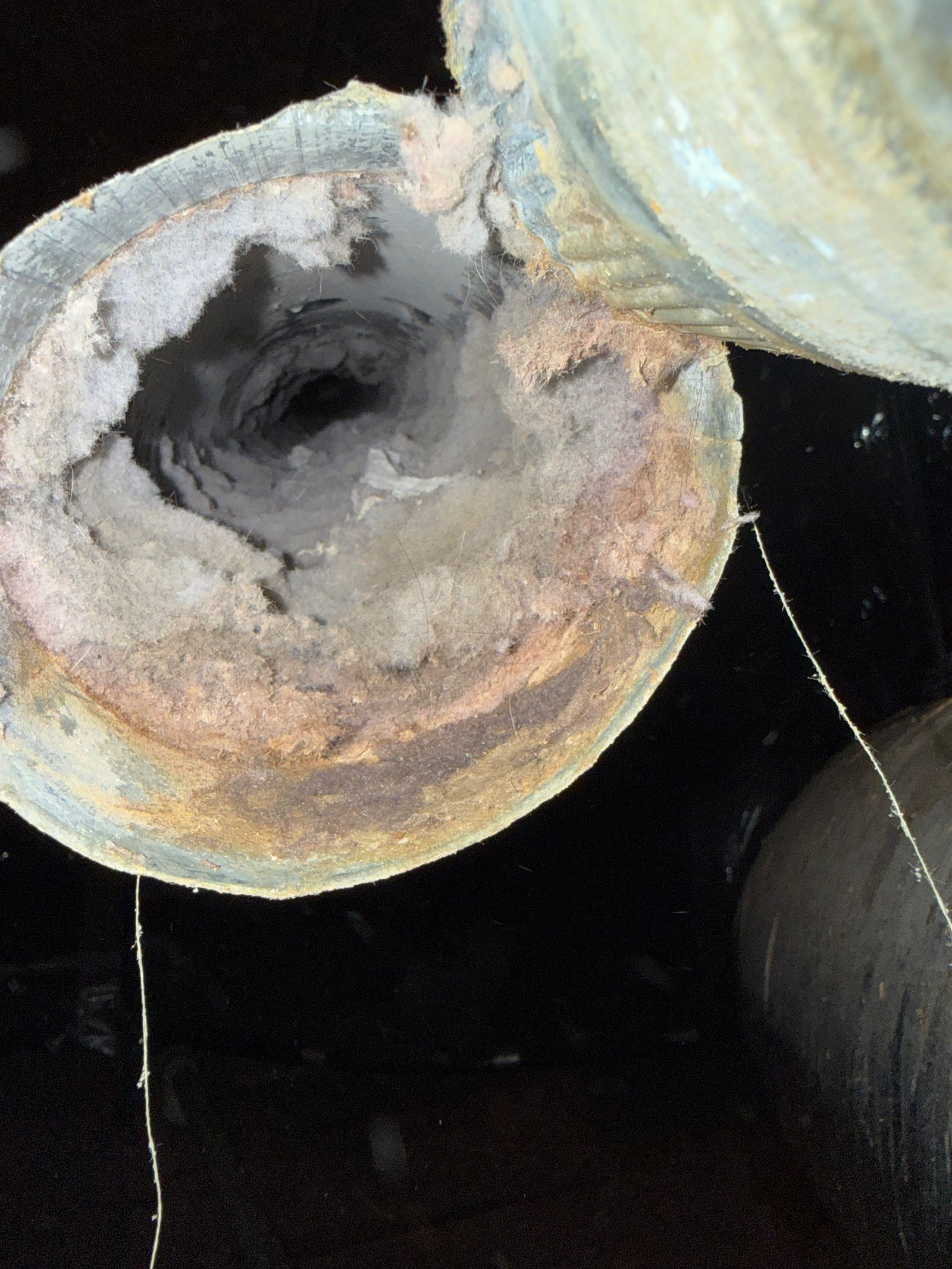 Dryer vent cleaning service in Pasadena