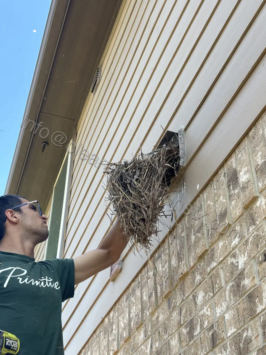 Bird Nest Removal in Kingwood, TX by ClearAir Solutions, February 2026
